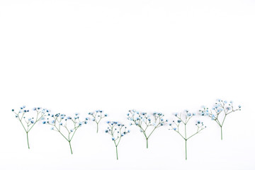 Beautiful flower background of blue gypsophila flowers.