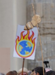 Erde in Flammen auf Demo