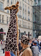Giraffenhals in Berlin