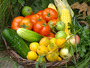 Vegetables m fruits on a wooden table in a wicker tray next stand wicker bottles and basket.