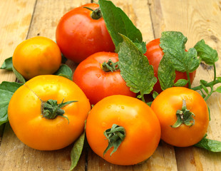 red and yellow ripe tomatoes on a wooden surface.