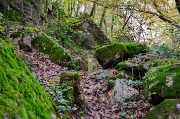 paysage