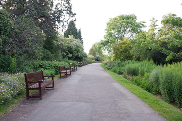 Line of benches