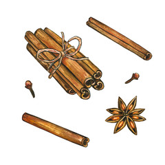 Christmas spices. Cinnamon, star anise, clove. Hand drawn watercolor illustration. Isolated on white background.