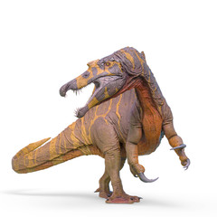 spinosaurus is looking back in white background