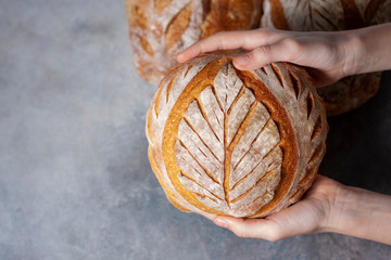 Sourdough bread. Freshly baked organic wheat bread. Child holding fresh round bread.