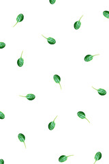 The pattern of spinach leaves on a white background