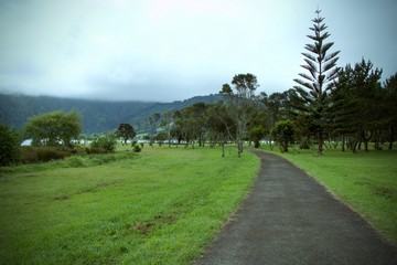 Path through the foggy tropic island...