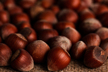 fresh shelled hazelnuts, hazelnuts background