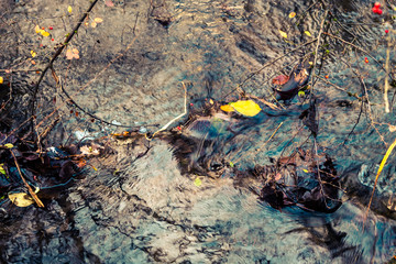 Swirling water in stream