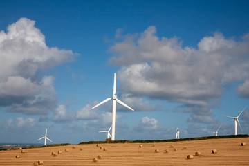 windfarms in fields in England