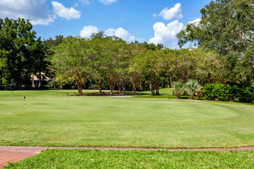 Fototapeta na wymiar Golf course with trees lining the edge