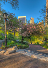 Central Park in spring
