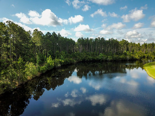 Aerial view of a lake surrounded by trees