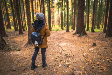 Young Traveler woman with backpack stand in forrest and enjoys nature and sunlight. Free time activity.