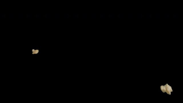 Popping Popcorn Bounce on Transparent Background