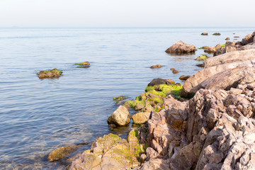 Stones on the seashore in a sunny day