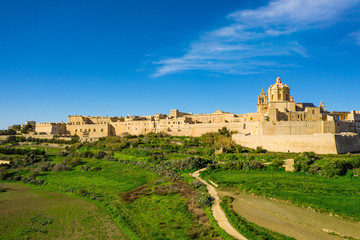 Fototapeta na wymiar Mdina city - old capital of Malta. Aerial nature landscape, sunny day, blue sly, winter, a lot of green grass. Europe. Malta island