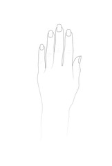Hand template for henna design and nail art practice. Vector illustration