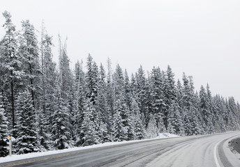 Obraz premium Beautiful landscape of Canadian countryside during snow storm