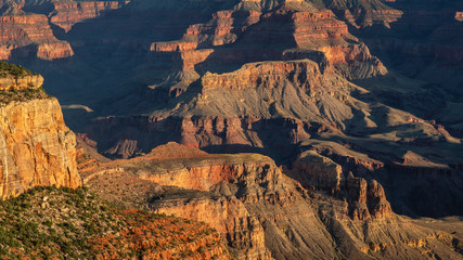 Early Morning Sun, Grand Canyon National Park - Shoshone Point