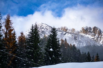 winter landscape with trees and blue sky