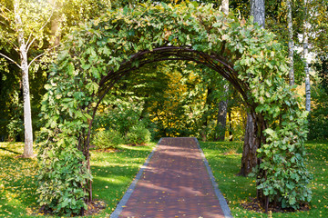 Walkway under garden arch in public park