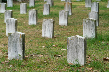 gravestones in cemetery