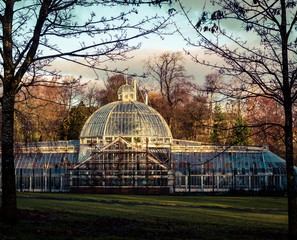 Fototapeta premium abandoned glass house framed by two trees