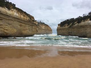 Cala en la Great Ocean Road in Melburne