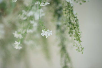 Flowers for decoration in the ceremony For the celebration White flowers, beautiful shrubs