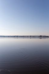View of the Kis-Balaton from the island of Kanyavar