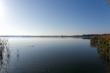 View of the Kis-Balaton from the island of Kanyavar