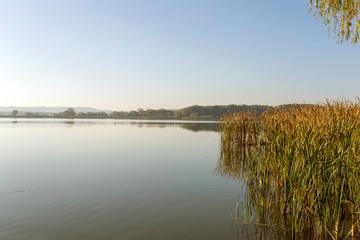 View of the Kis-Balaton from the island of Kanyavar
