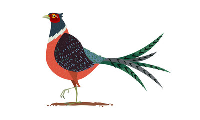 Pheasant