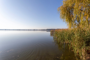 View of the Kis-Balaton from the island of Kanyavar