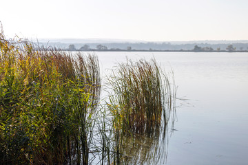 View of the Kis-Balaton from the island of Kanyavar