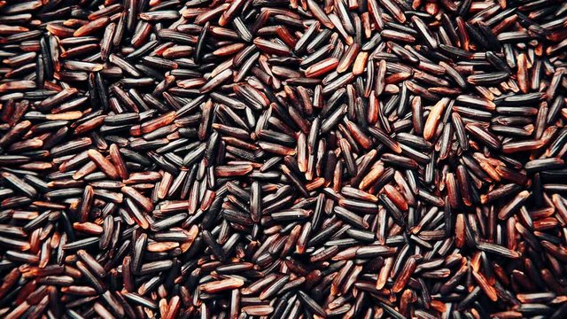 Black rice as natural food background. Top view. Healthy diet gluten free