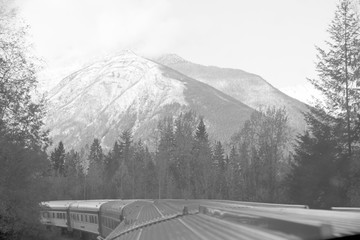 The wonderful train journey from Jasper to Vancouver in British Columbia, Canada in Autumn.  With train, trees, foliage and snow capped mountains
