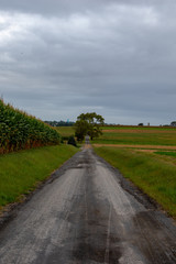 Fototapeta na wymiar Amish country lane, Lancaster County, Pennsylvania