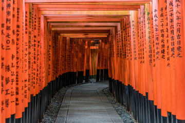 Fototapeta premium Curved corridor of Red Torii gates at Fushimi Inari Taisha Shinto shrine. Fushimi-ku, Kyoto, Japan
