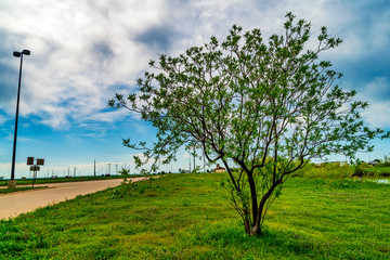 At a rest stop in the middle of nowhere somewhere in Texas, USA near route 66.