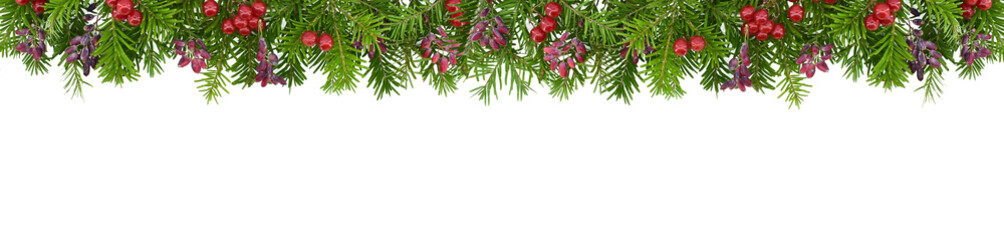 Christmas and New Year Border. Sprigs of spruce decorated with red berries isolated on a white background. Copy space.