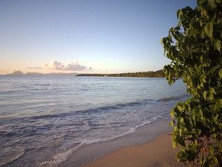 beach at sunset