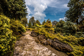 Fototapeta premium The blurred abstract background of the park's various vegetation, beautifully decorated gardens, relaxing from work and surrounded by green nature, refreshing during the day.