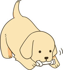 ゴールデンレトリバー（おやつガム）