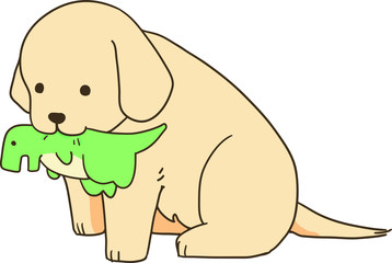 ゴールデンレトリバー（ぬいぐるみ遊び）