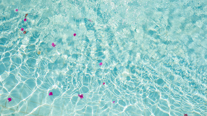 texture of the water in the pool with petals of pink flowers.