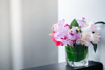 Orchids that decorate in a glass of water