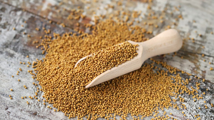Grains of mustard in a wooden spatula. Selective focus. Macro.